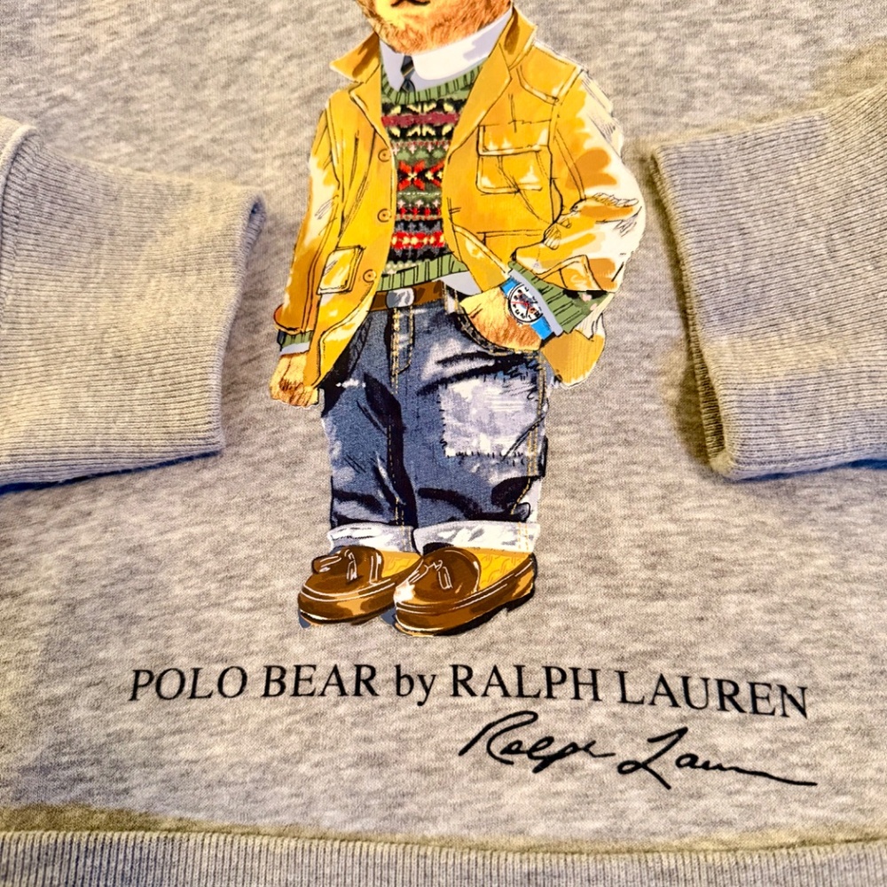 Polo Ralph  Lauren Bear Hoodie Men’s size Medium - Picture 5 of 7